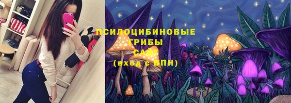 стафф Медвежьегорск