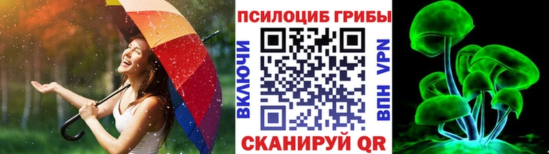 закладки  Гагарин  Псилоцибиновые грибы мухоморы 
